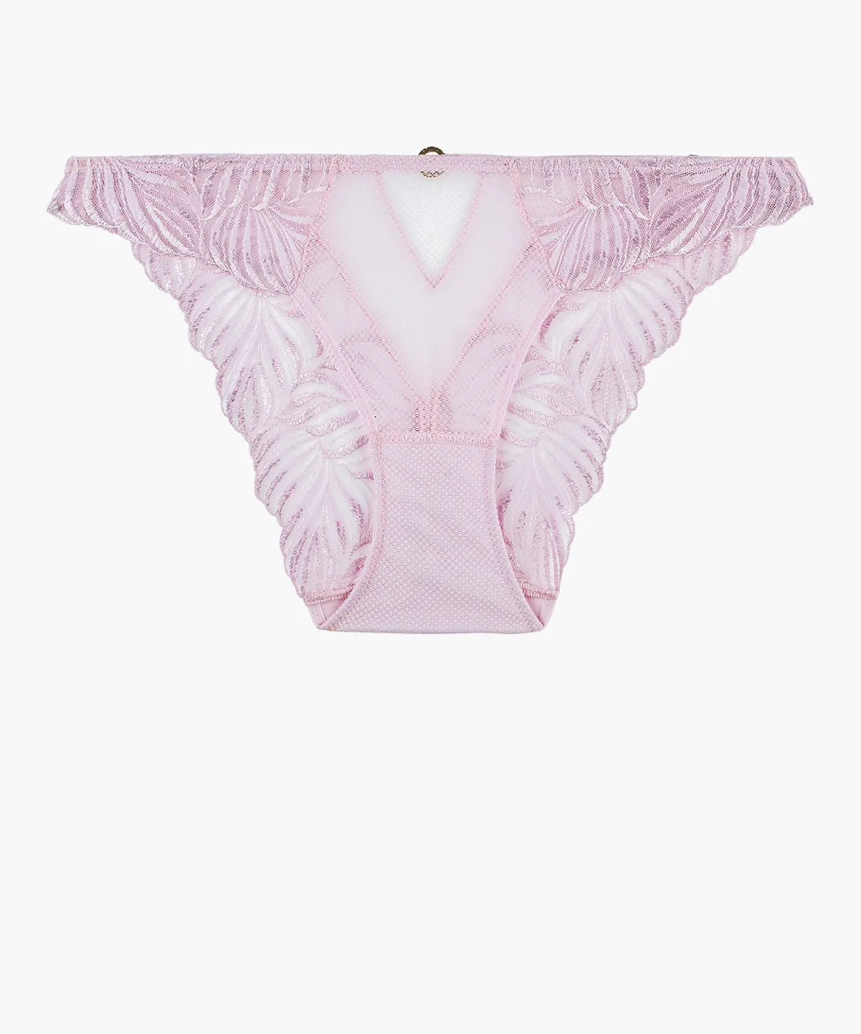 Aubade Paradis Exotique Italian Brief