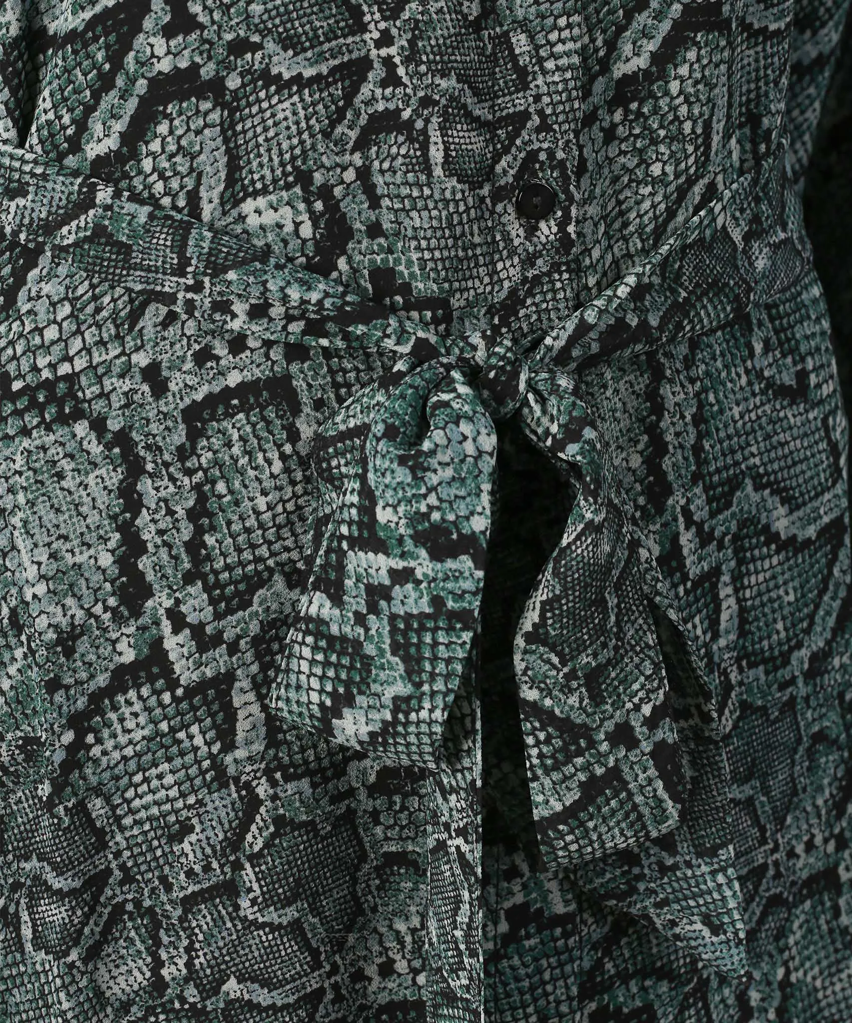 Bishop Sleeve Printed Button Down Chiffon Dress