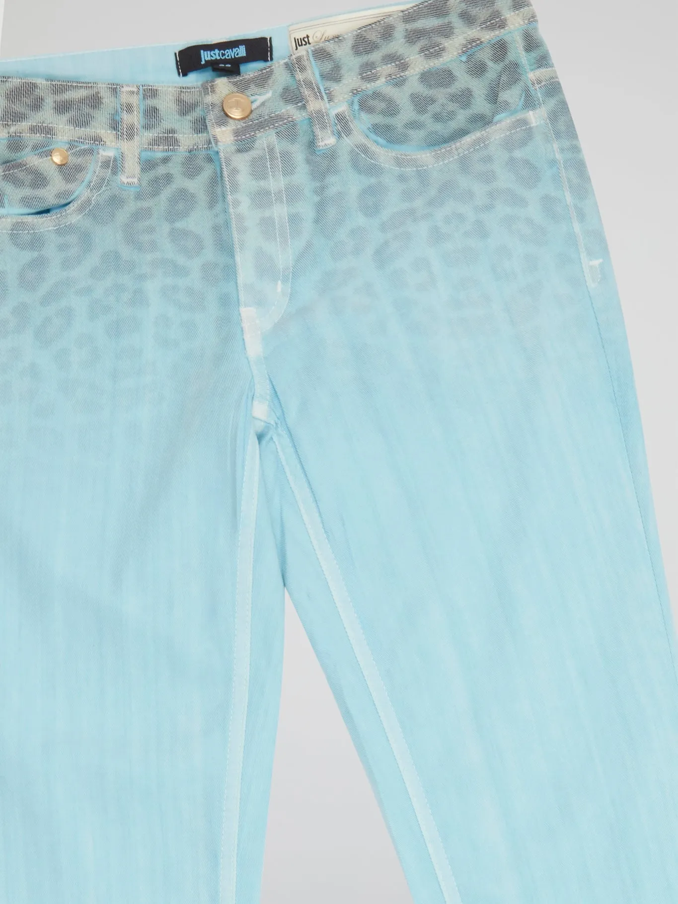 Blue Leopard Gradient Pants
