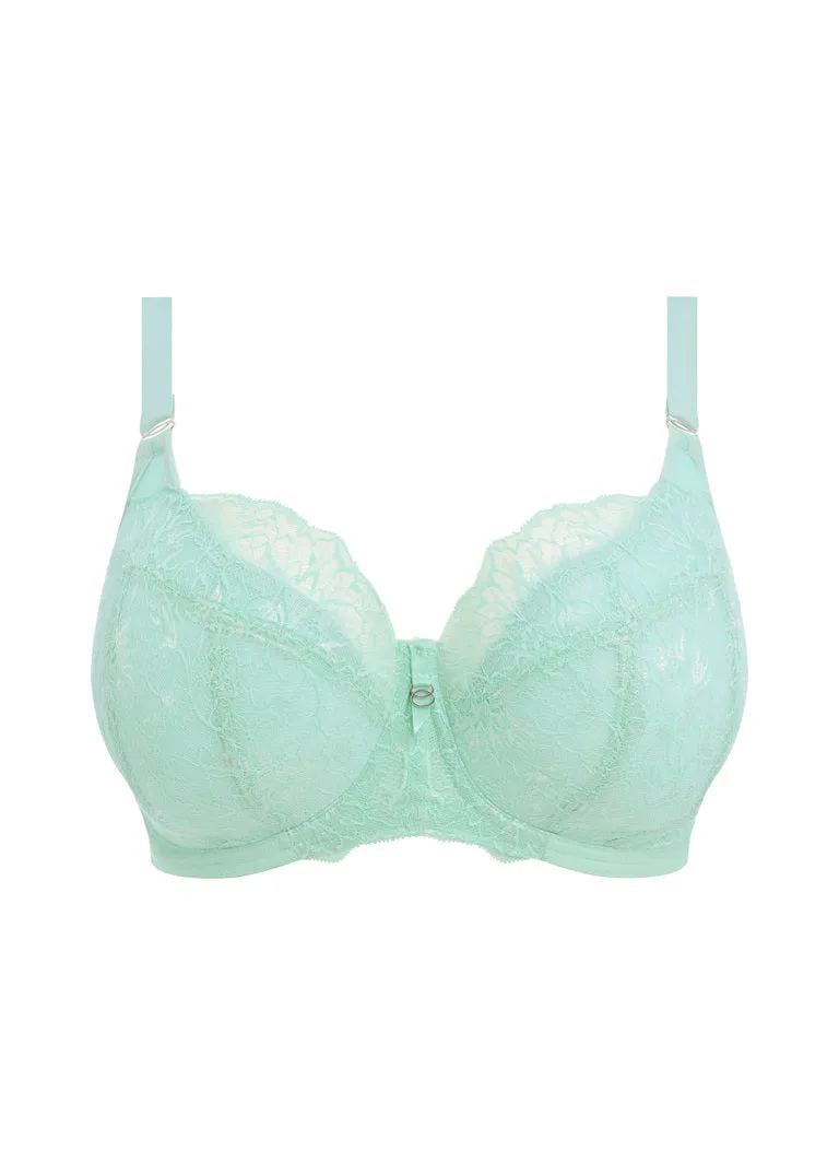 Brianna EL8081 Padded Half Cup Bra - Fashion Pre-Order: Frozen Blue