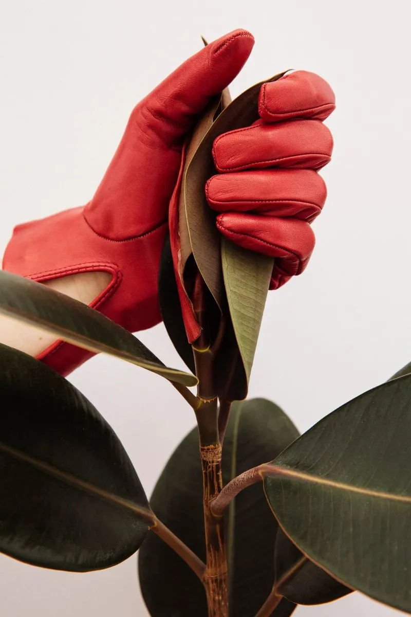 Corto Red Lambskin Gloves