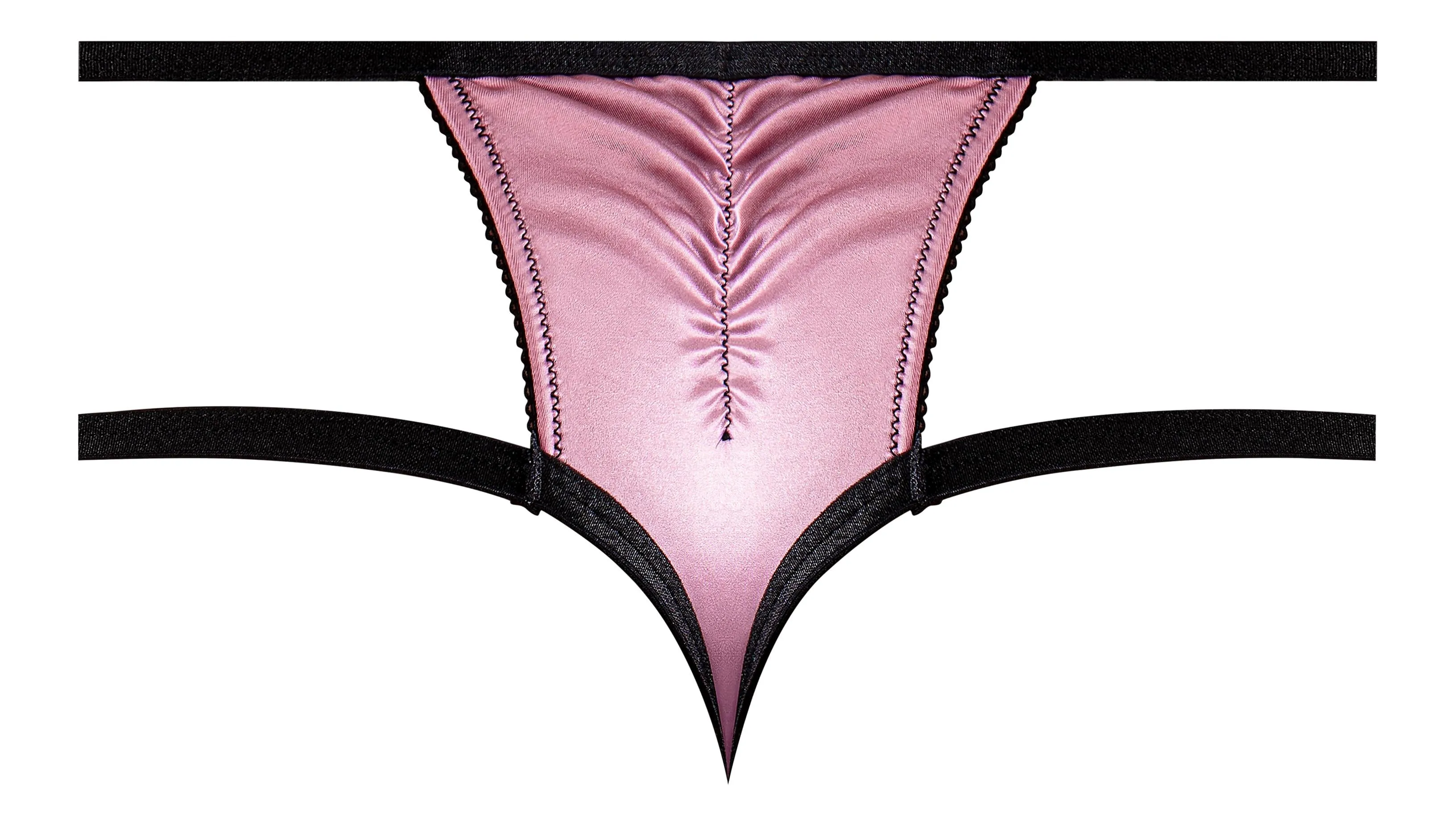 Hella Raw Sensual Desires Panty Mauve L/xl