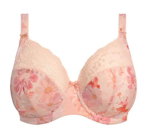 Lucie EL4490 Plunge - Fashion Pre-Order: Cosmos