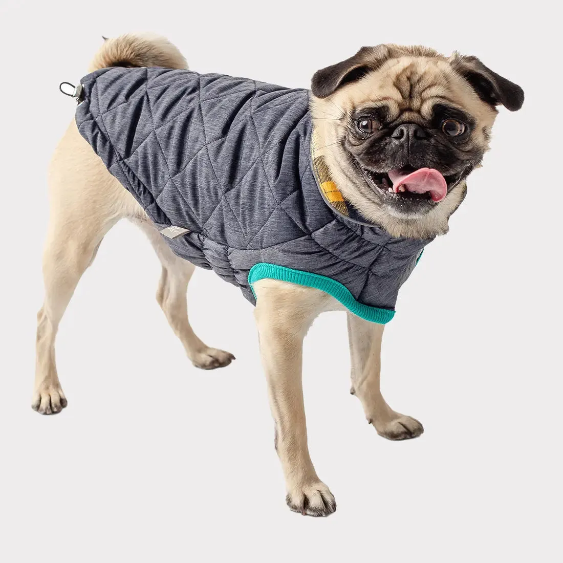 RV Trail Dog Jacket