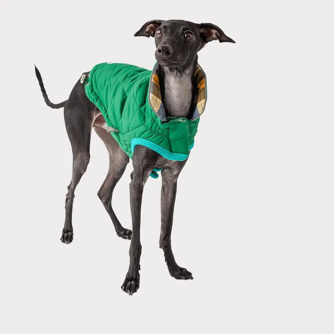 RV Trail Dog Jacket