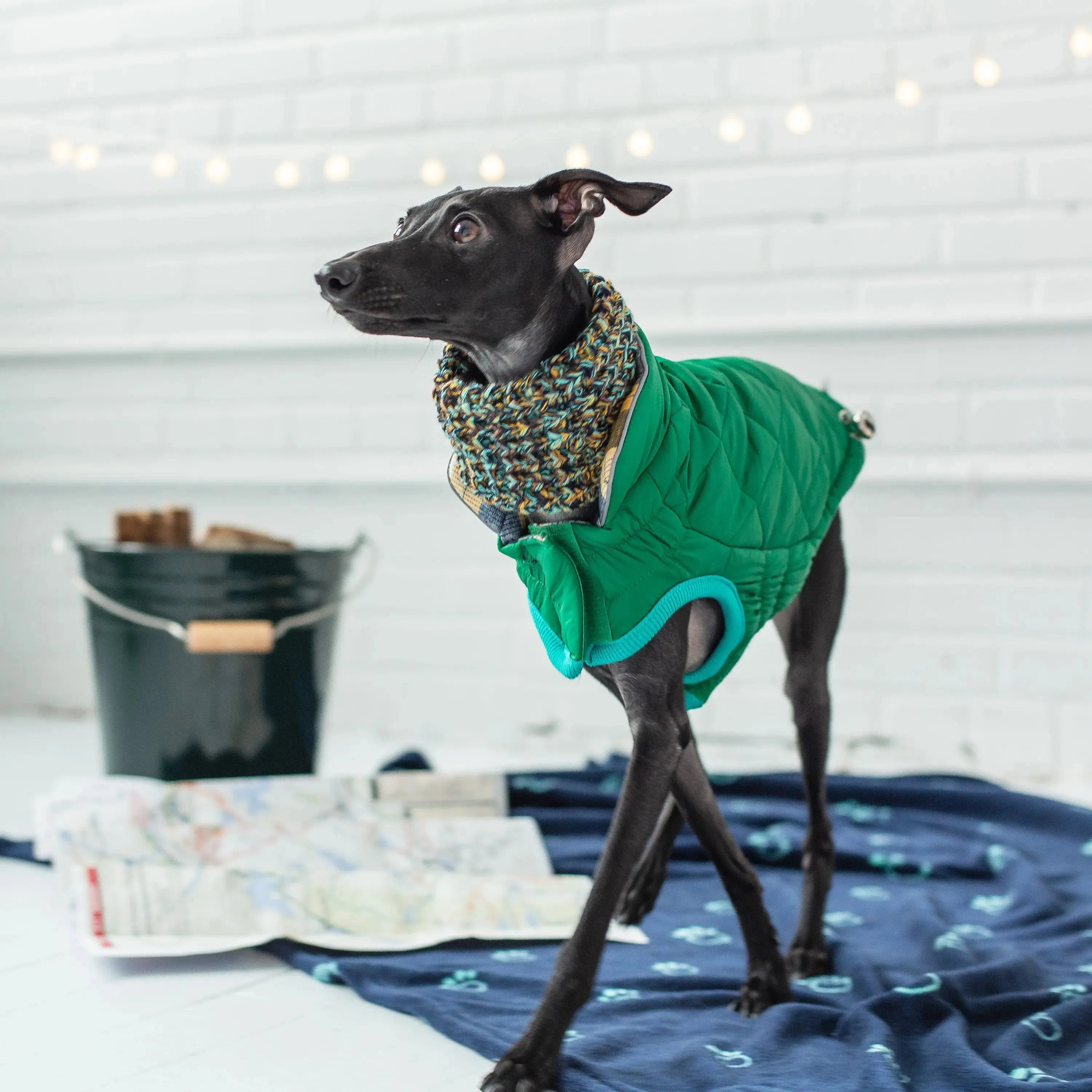 RV Trail Dog Jacket