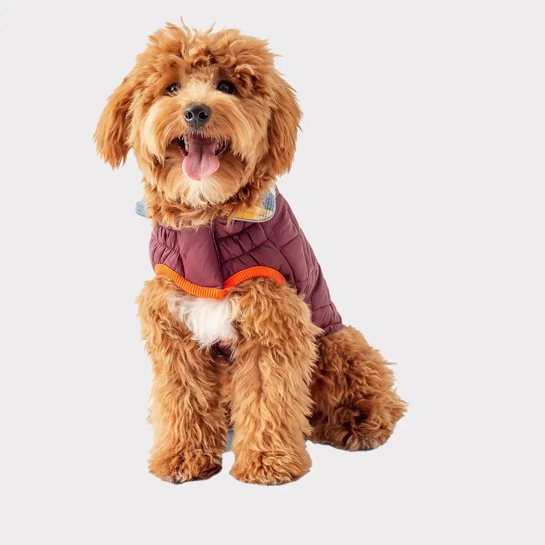 RV Trail Dog Jacket