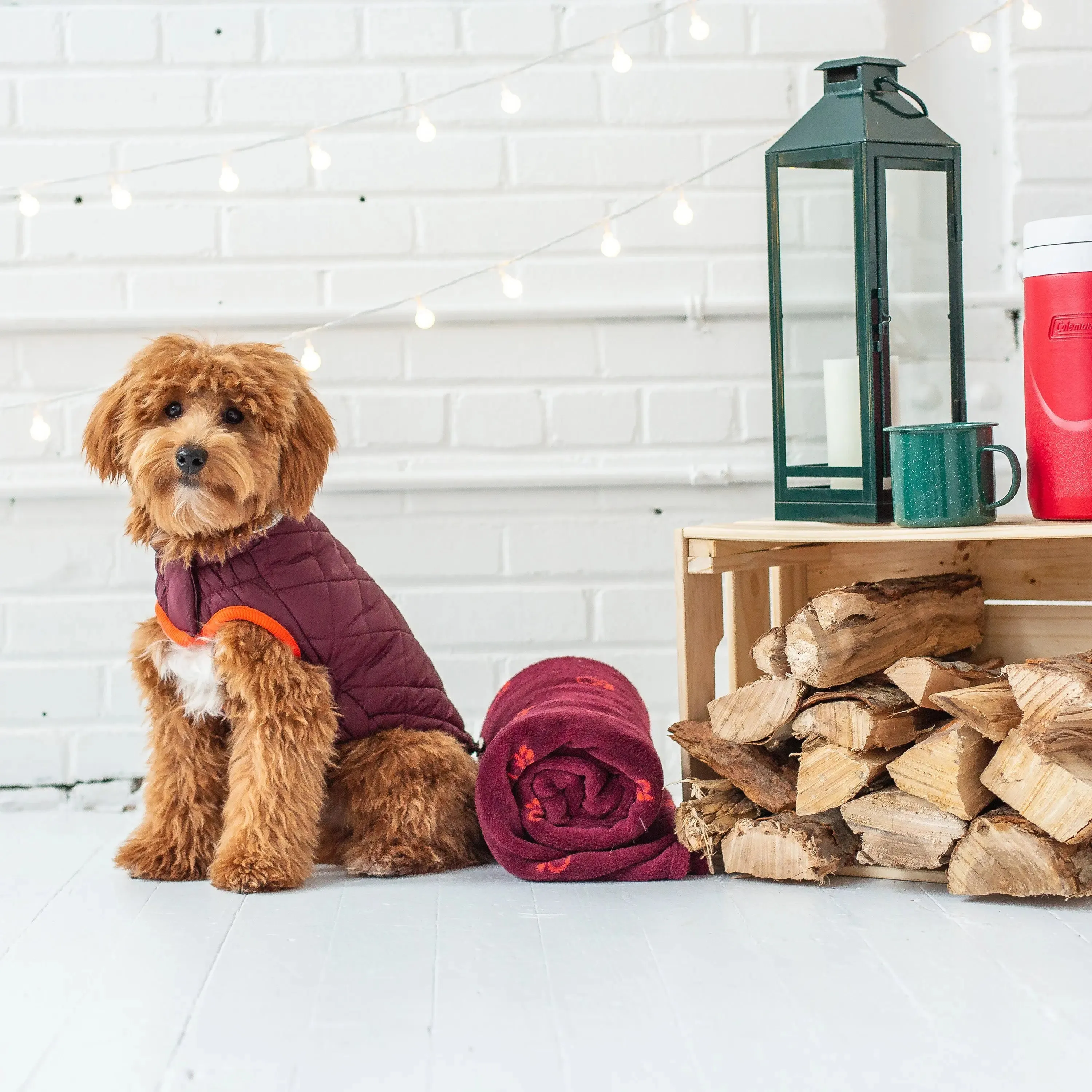 RV Trail Dog Jacket