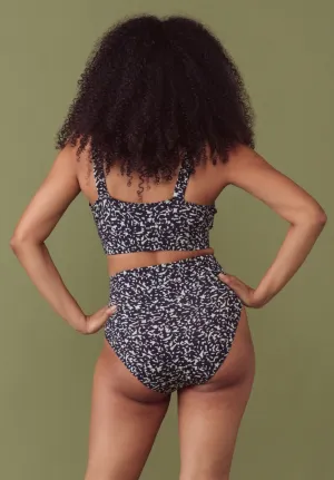 Sea Creature Modal Lounge Brief